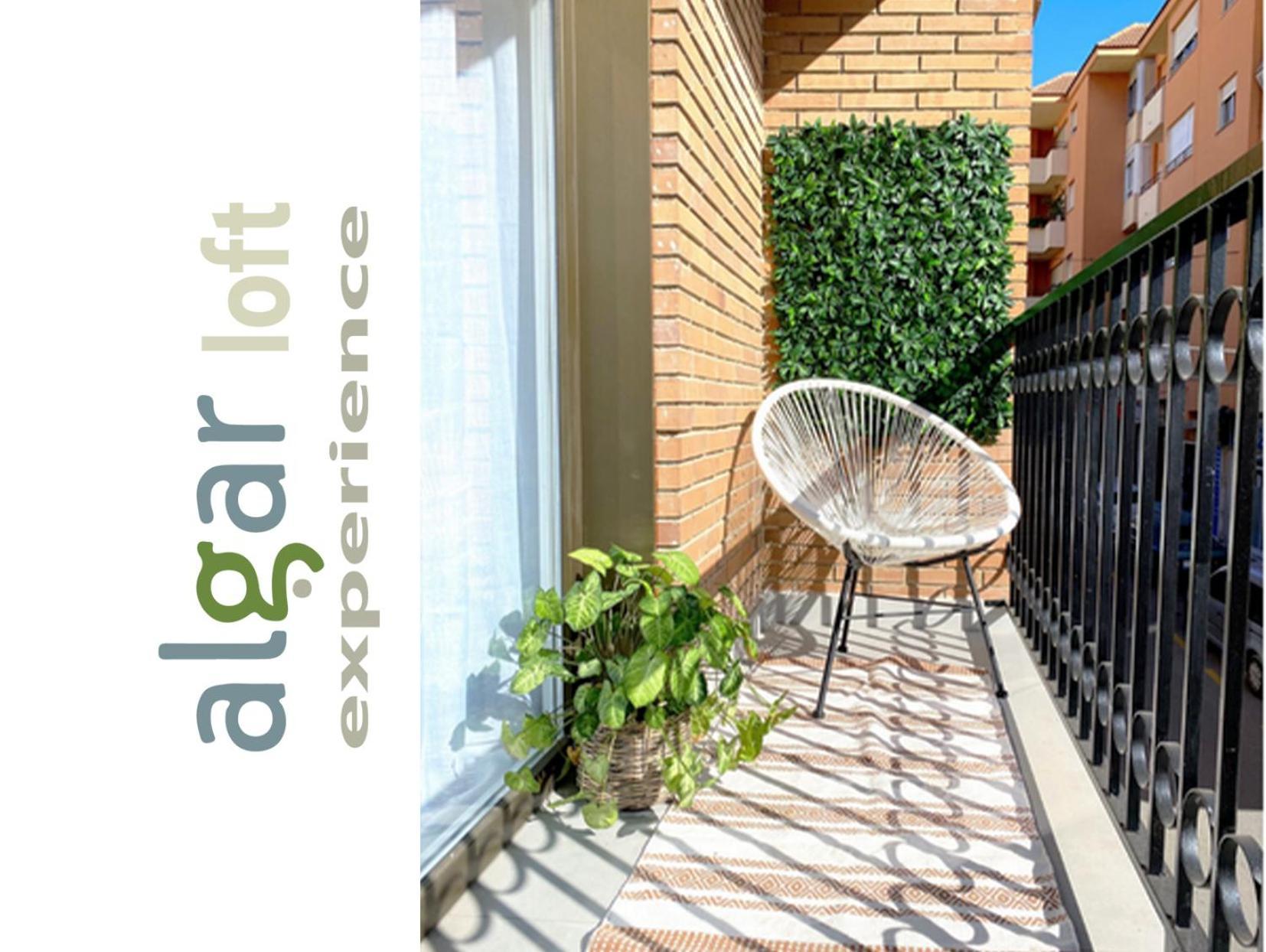 Callosa de Ensarriá Algar Loft, Diseno Y Climatizacion 아파트 외부 사진
